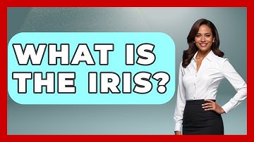 What Is The Iris? - Optometry Knowledge Base
