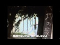 矢切の渡し 細川たかし ちあきなおみ カバー 高野ひろし