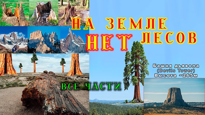 На земле лесов НЕТ - ВСЕ ЧАСТИ