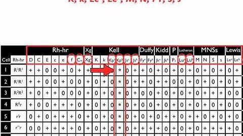 Antibody ID The Basics Part 1
