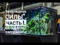 Пробуждение силы. Часть 1. Создание хардскейпа.  Природный аквариум. акваскейп. nature aquarium