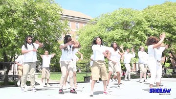 2013 UMD Block Show: Kappa Alpha Delta