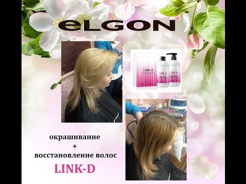 Мастер-класс ELGON: окрашивание+восстановление волос LINK-D Мастер-класс ELGON: окрашивание+восстановление волос LINK-D