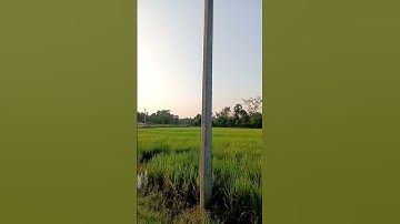 #سورة_الإخلاص #lifeisbutadream