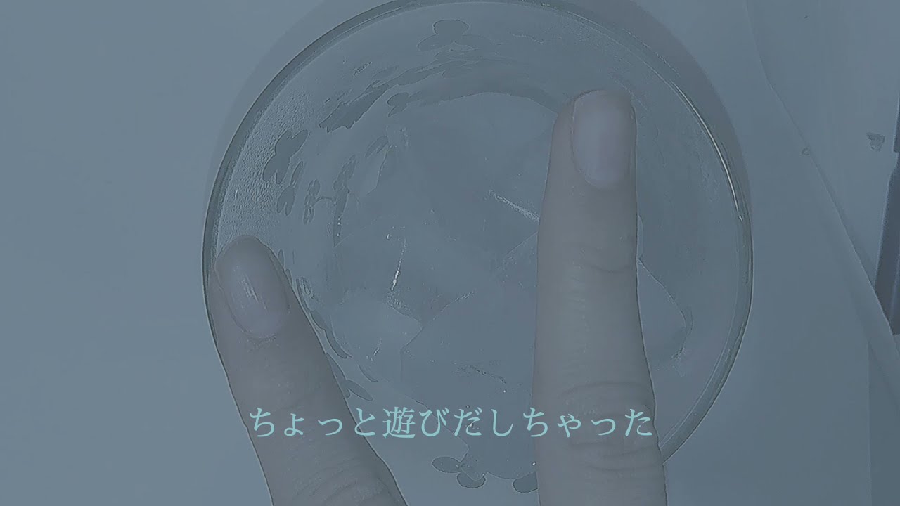 氷食症の私がいつも通りに氷を食べるだけ。【咀嚼音】【ASMR】【異食症】