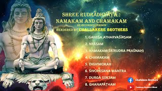 SHREE RUDRĀDHYĀYA - NAMAKAM AND CHAMAKAM | WITH NYĀSAM | RE-RECORDED VERSION | CHALLAKERE BROTHERS screenshot 4
