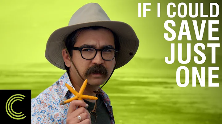 Save The Starfish - Studio C