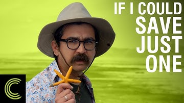 Save The Starfish - Studio C