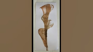 DIY THREAD ART ✨ String Pull Art 🩷 #shorts #paintingideas #easy #watercolor #thread #ytshorts