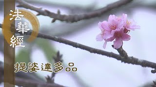 【靜思妙蓮華】法華經提婆達多品 - 弘揚諸權 終歸一乘 - 20230206 第1344集