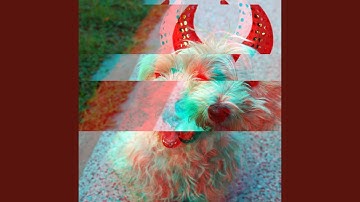 Dashing Ambience for Puppy Play Hour