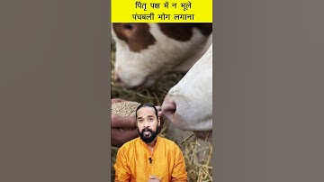 पितृ पक्ष में भूल से भी न करें ये काम 😱 Pitru Paksh Puja Me Kya Na Kare #shorts #vastu #pitrupaksh