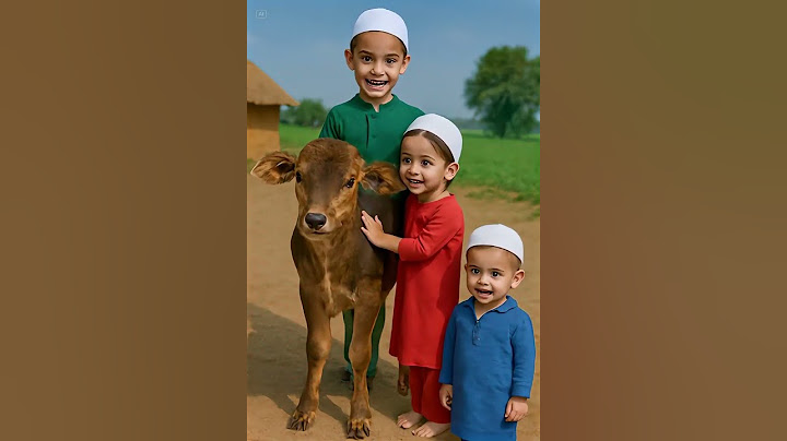bakra run bado badi||#trending # Eid al-azha#shortvideos #trendingshorts #youtubeshorts