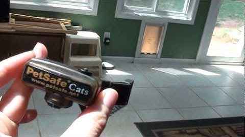 Indoor Wireless Fence System for Cats