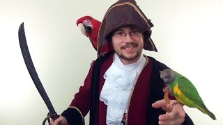 Parrot Being A Pirate On Halloween
