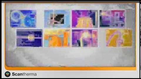Scantherma -- FLIR Camera Range