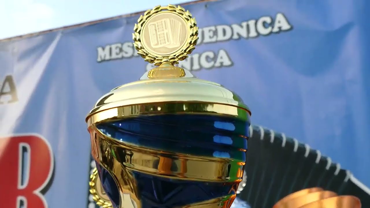 Vidovdanski sabor harmonikaša 