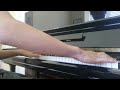 Passacaglia - Handel/Halvorsen (Pianistos arr.)
