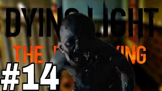 SOOTHE THE POOR SOULS | Dying Light Enhanced Edition The Following (Part 14)