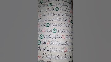 ما معنى "واصبا"#سورة #النحل