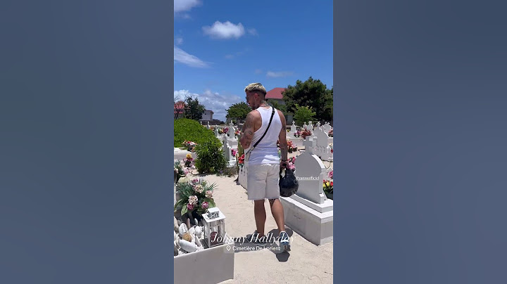 Yanns rend visite à la tombe de Johnny Hallyday #yanns #hommage #johnnyhallyday #loffcielyt