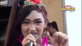 SUKET TEKI Vo.Jihan Audi - New Pallapa Kupu Tegal