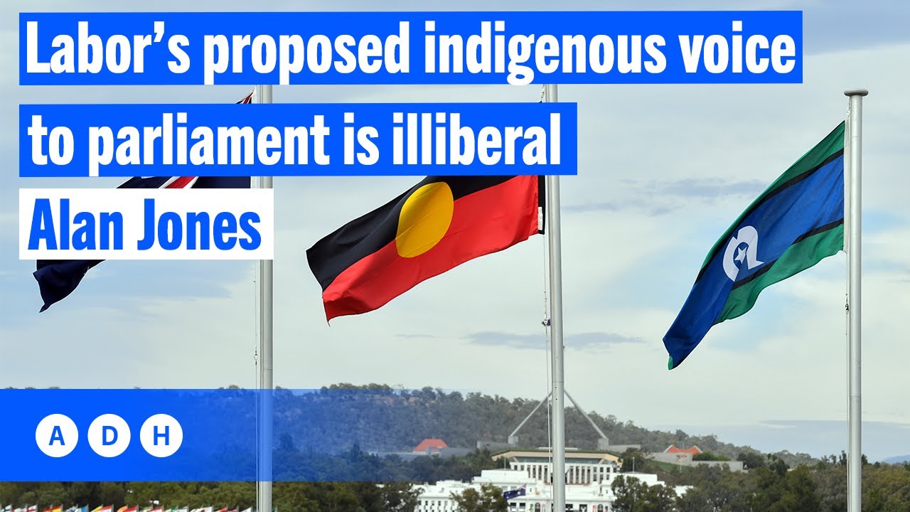 ⁣Labor’s proposed Indigenous Voice to Parliament is illiberal | Alan Jones