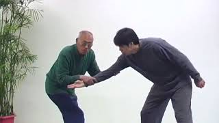 'BAGUA” Combat Techniques