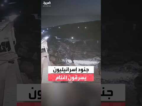 مشاهد ت ظهر قيام جنود إسرائيليين بسرقة قطيع أغنام لفلسطينيين في الضفة الغربية 