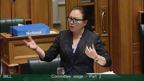 Telecommunications (New Regulatory Framework) Amendment Bill - Committee Stage - Part 2 - Video 2