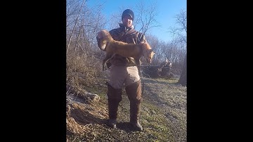 Running the trap line day 3 #BEST DAY YET#