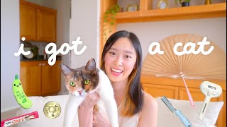I got a CAT 🐈💖 adoption story, favorite products, naming her