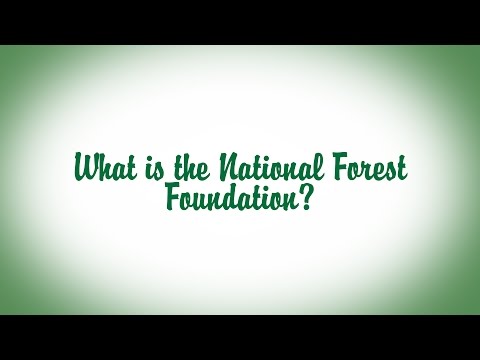 Video: Kad tika izveidots cibolas valsts mežs?