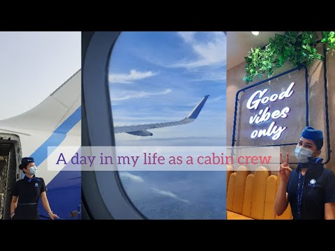 A day in my life as a cabin crew✈️ |Neha Gusain #indigo #indigo6e #cabincrew #howtobecomeacabincrew