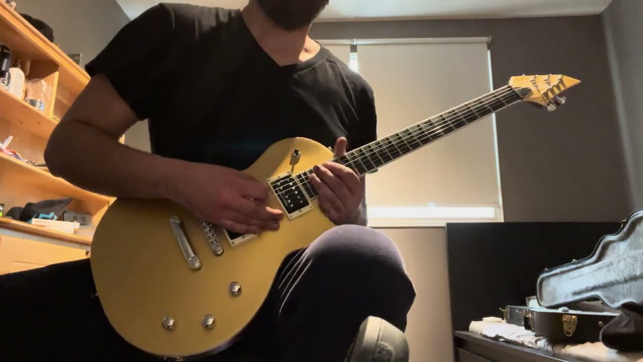 Slayer - Raining Blood Cover