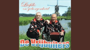 Alles In Het Leven Gaat Zo Voorbij