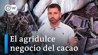 Cacao ecuatoriano vs. chocolate alemán