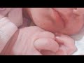 الف مبروك المولودة الجديدة ان شاء الله تتربى في عزاك اخي الغالي