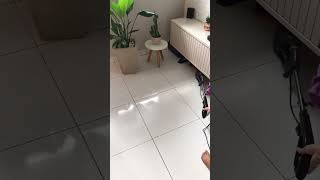 Aspirador De Pó Philco