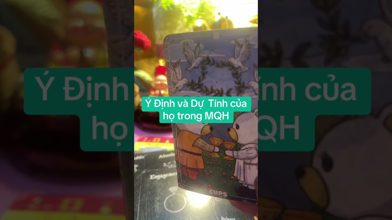 Ý định và dự tính của họ trong MQH