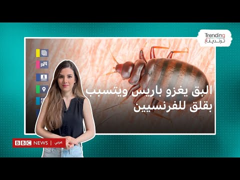 كيف تتصدى السلطات في فرنسا لغزو بق الفراش للعاصمة باريس