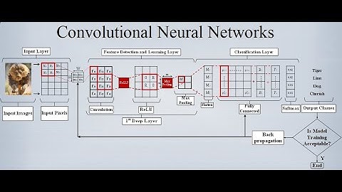 The Convolutional Neural Networks (CNN) Explained in Detail
