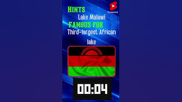 Test Your Geography Skills - Country Guessing Game