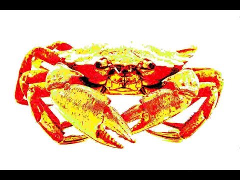 Treble boosted Crab Rave (Earrape)