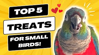 TOP 5 TREATS FOR SMALL BIRDS - budgie, cockatiel, conure, lovebird | BirdNerdSophie by BirdNerdSophie 2,396 views 6 months ago 5 minutes, 31 seconds