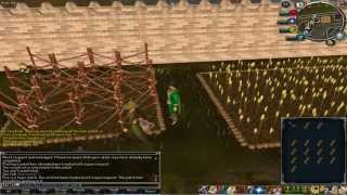 RuneScape Grapevine Seed! (Level 95 Farming) [Harvest Heaven Update!]