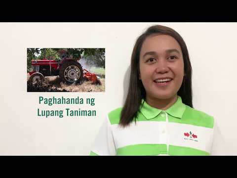 🇵🇭 Paano ihanda ang lupang taniman (Land Preparation) l VeggiEskwela Online Usapang Gulayan