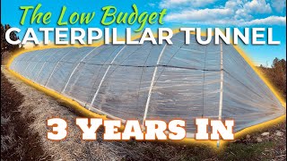 The Low Budget Caterpillar Tunnel // 3 Years In by Bidwell Canyon Farm 6,827 views 3 years ago 8 minutes, 57 seconds