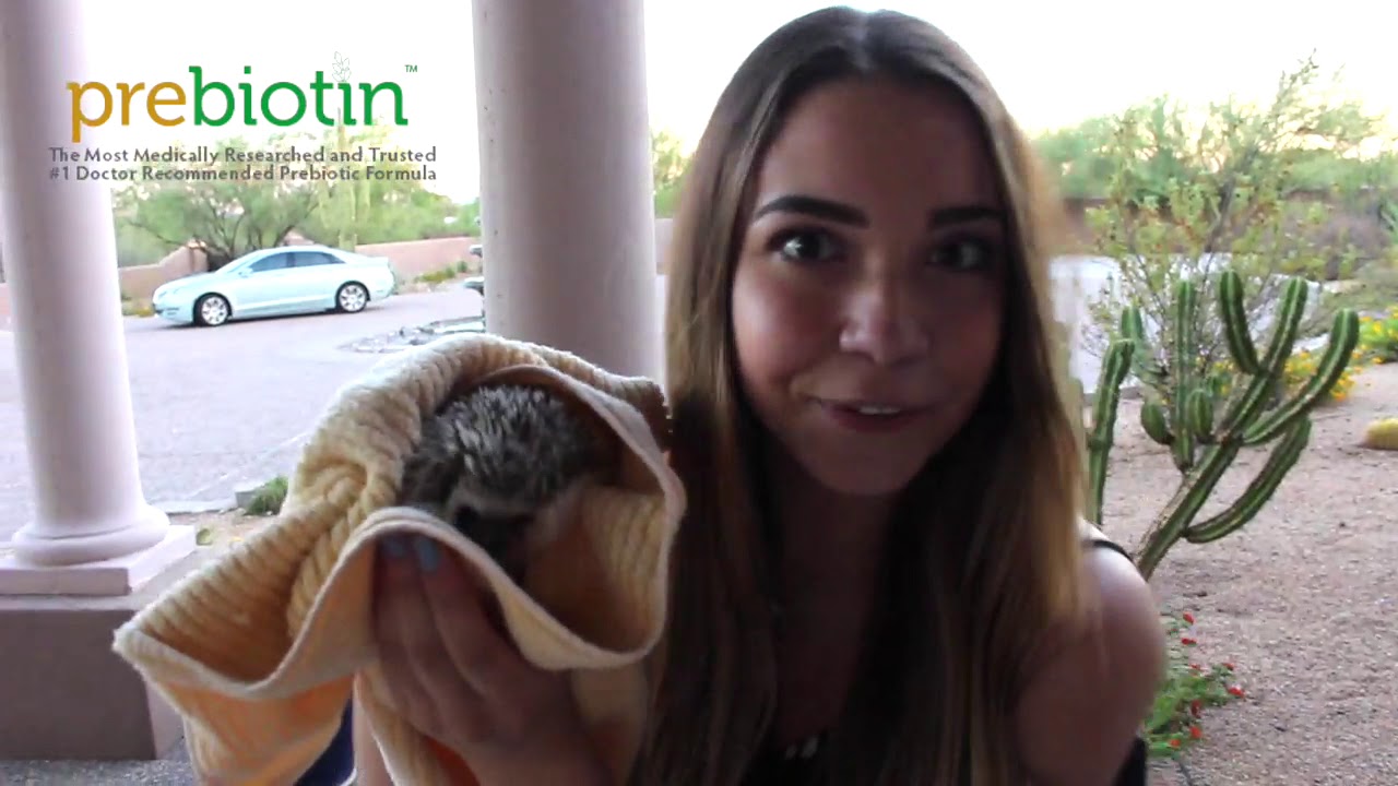 celiacos en colombia Hedgehog Adventures - Microbiome Minutes