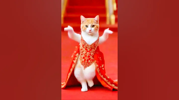 Cute Cat Dancing Video (2)😺😍 #cat #dog #dogdance #catdance